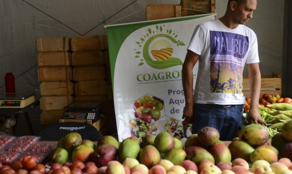 Agricultores Familiares pedem Plano Safra específico