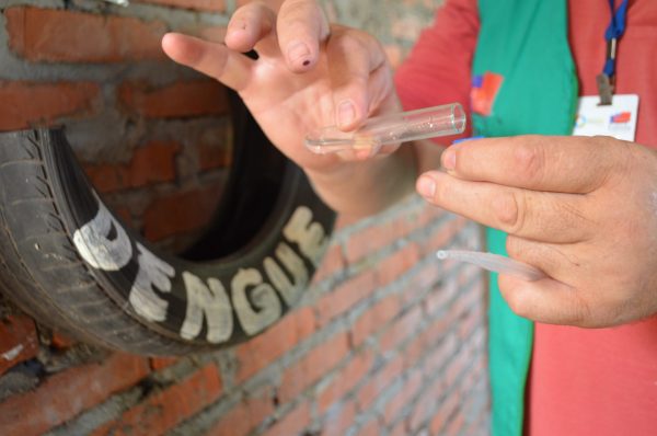 Aumento de casos de dengue no RS preocupa Lajeado