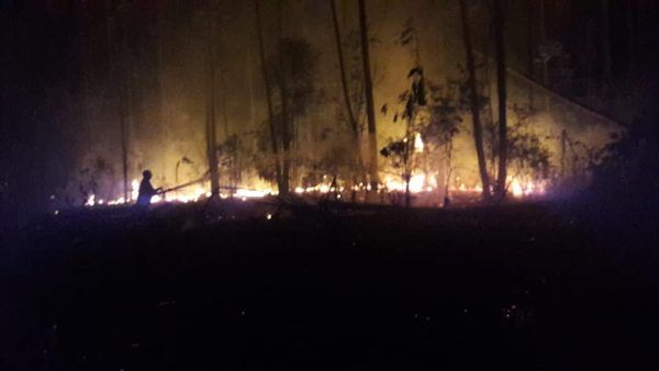 Incêndio atinge mato de eucaliptos no interior de Imigrante