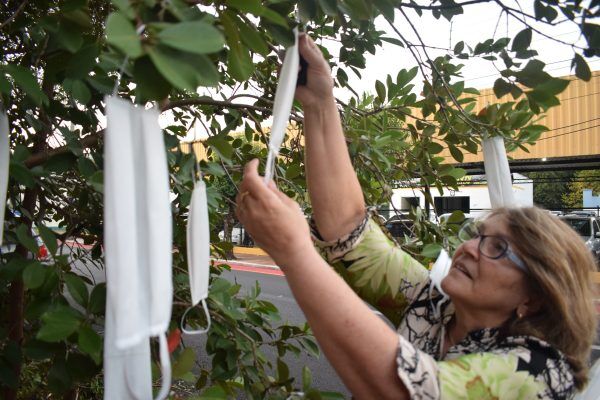 Professora de costura utiliza árvore para distribuir máscaras