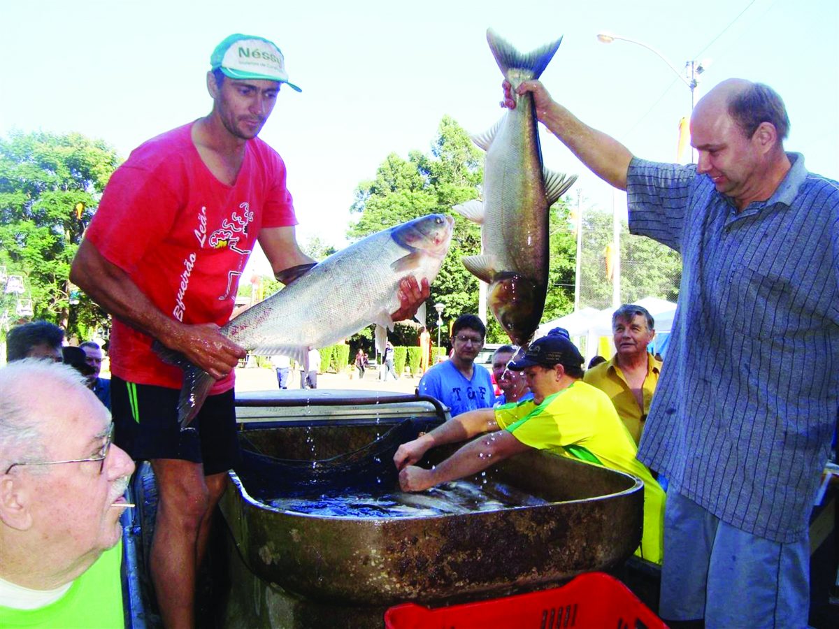 Oferta de pescado reduz em 117 toneladas  