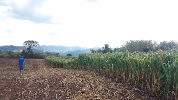 Agricultores vão receber auxílio emergencial de R$ 600