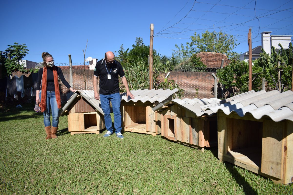 Presos constroem casas para cães abandonados