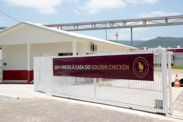 Dália firma primeira exportação de corte de frango