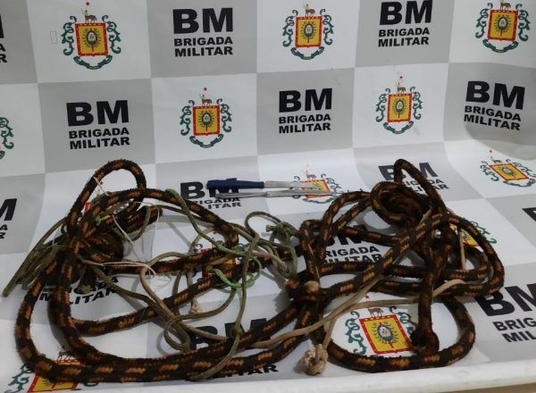 Homem confessa furto de abigeato e é liberado após registro