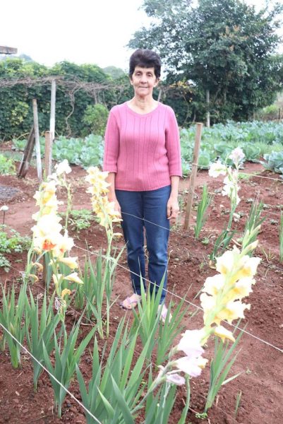 Produção de flores é alternativa para pequenas propriedades