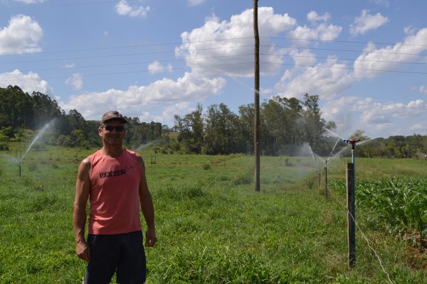 Programas de irrigação amenizam perdas com estiagem
