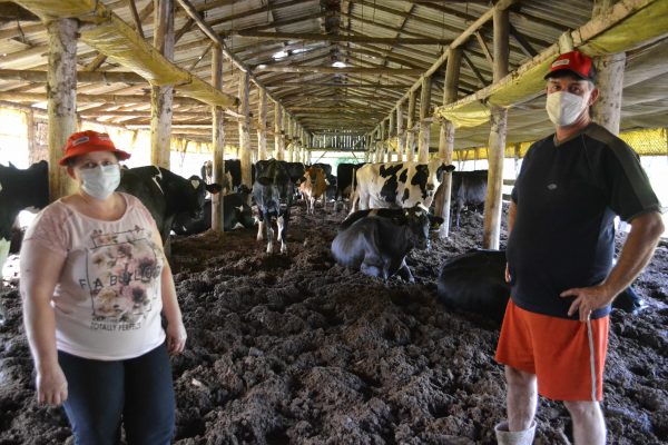 Programa bonifica produtores no período de entressafra