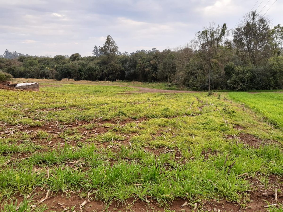 Teutônia prepara leilão de lotes para pequenas empresas