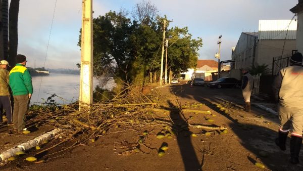 Rotativo segue suspenso e transporte público continua pela Júlio de Castilhos