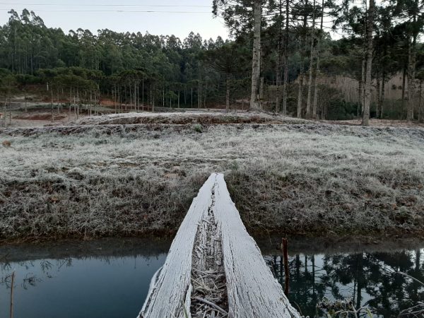 Manhã congelante transforma paisagens da região