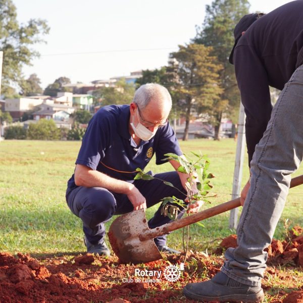 Voluntários plantam mudas no pátio da Saidan