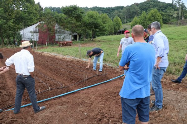 Estado destina R$ 60 mil para projetos de irrigação de produtores do Vale