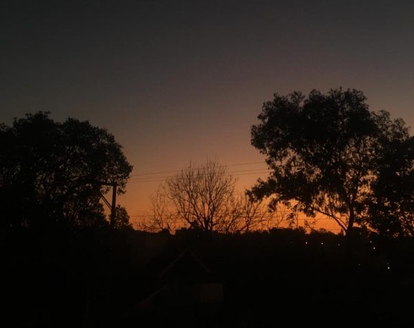 Quinta-feira de sol e temperatura amena