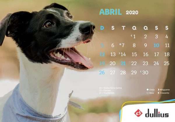 Apama lança concurso fotográfico do calendário 2021