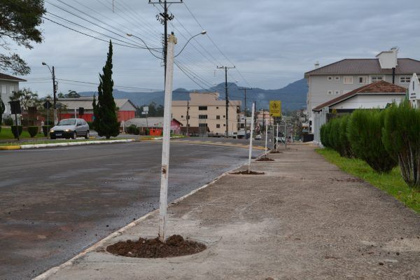 Teutônia lança projeto de arborização urbana