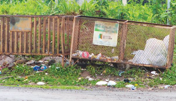 Ratos infestam lixeiras no Jardim do Cedro e perturbam moradores