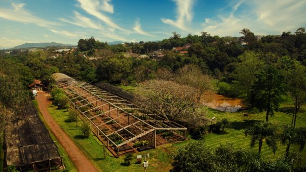 Símbolo da preservação, Jardim Botânico completa 25 anos