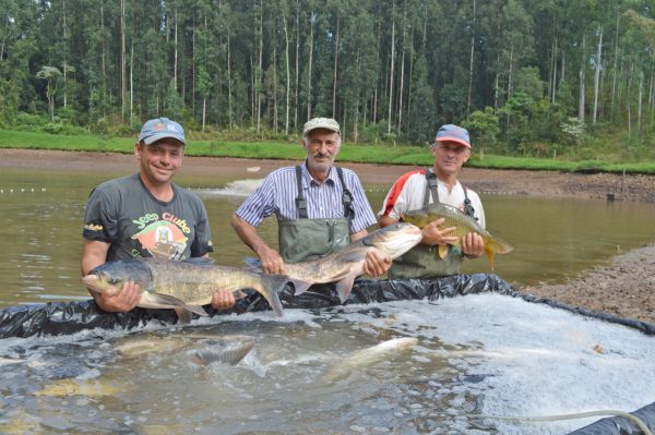 Após seis meses, Feira do Peixe Vivo retorna