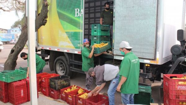 Banco de Alimentos da Ceasa registra recorde mensal de doações