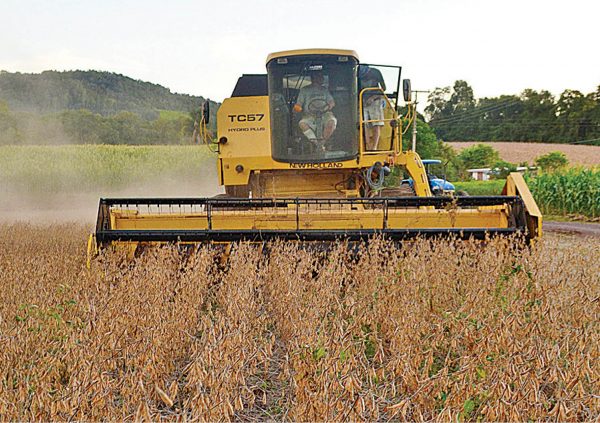 Falta de chuva atinge lavouras e Estado busca apoio da União