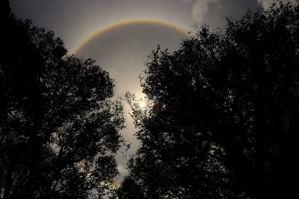 Meteorologista explica círculo visível em torno do sol