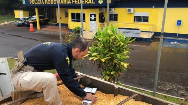 PRF apreende cigarros escondidos em carga de milho em Lajeado