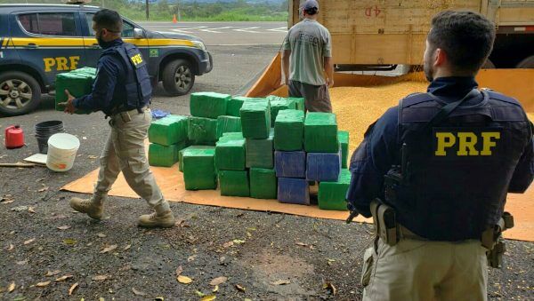 PRF apreende três toneladas de maconha escondida em carga de milho