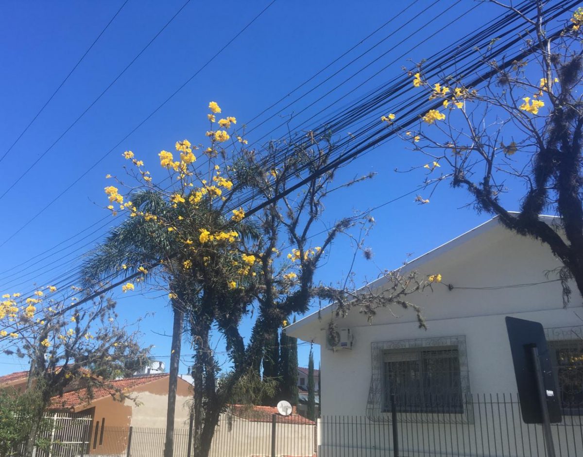 Feriado terá predomínio de sol e temperatura de quase 30ºC