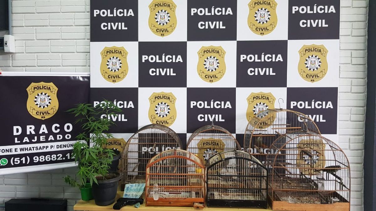 Draco apreende drogas e aves silvestres em Cruzeiro do Sul
