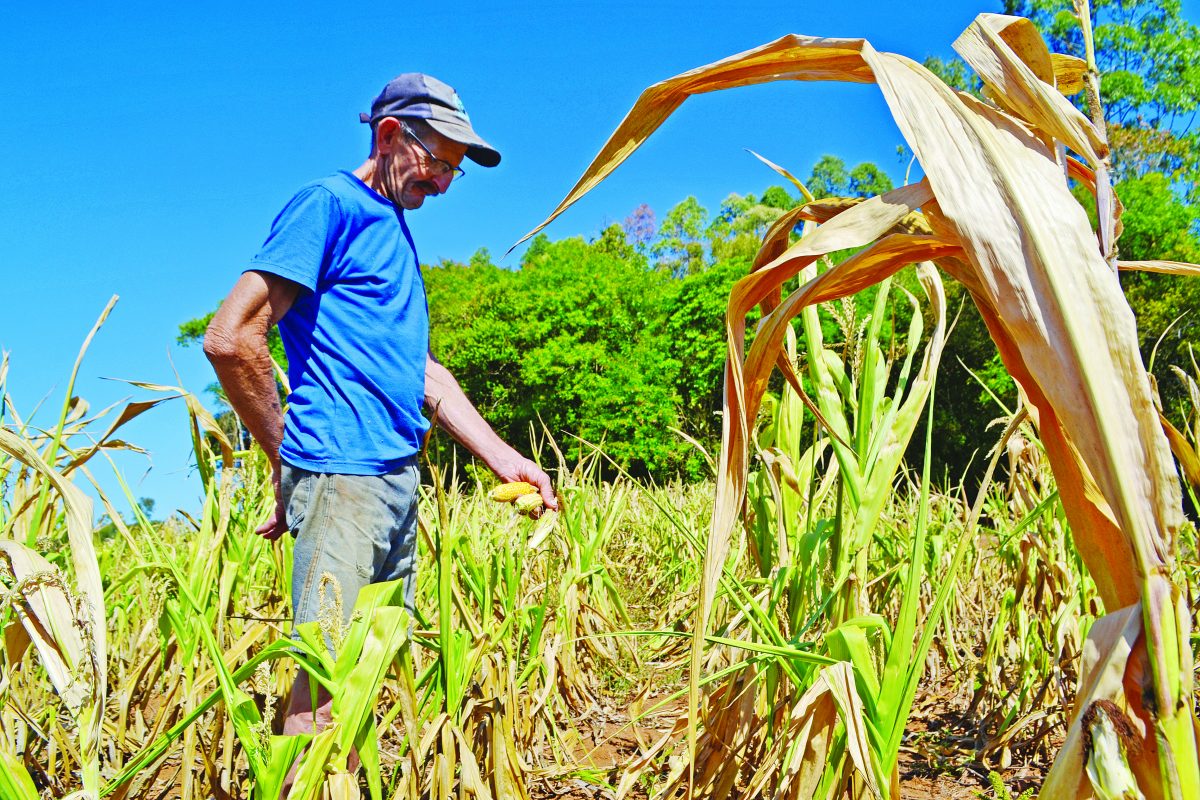 União avalia socorro a produtores do Rio Grande do Sul