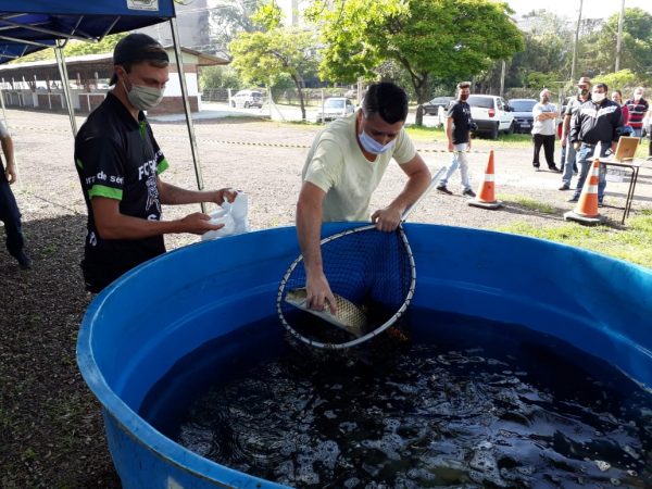 Última Feira do Peixe Vivo deste ano ocorre nesta sexta-feira em Lajeado