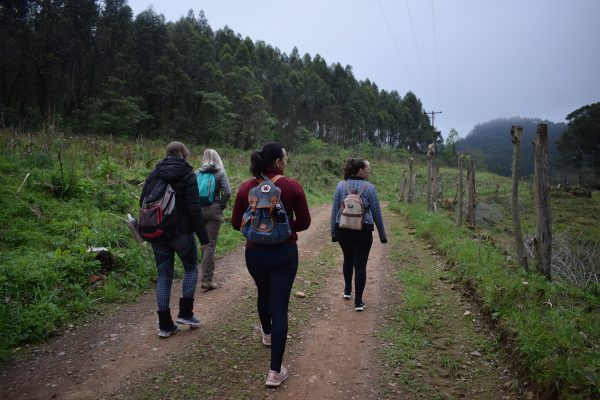 Menos propriedades, mais agrotóxicos e chance ao turismo rural