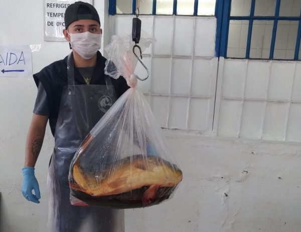 Última Feira do Peixe é no sábado em Estrela