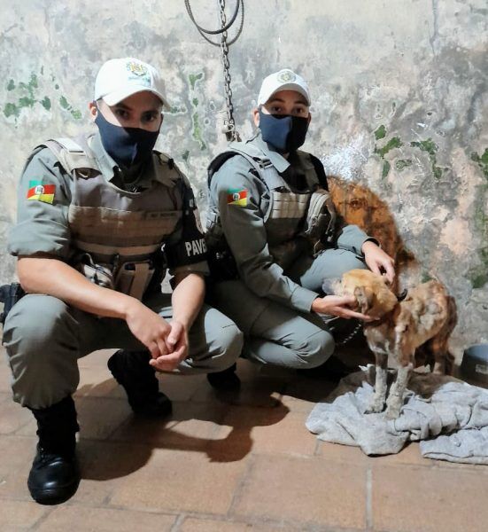 Cachorro é encontrado em estado crítico em Teutônia