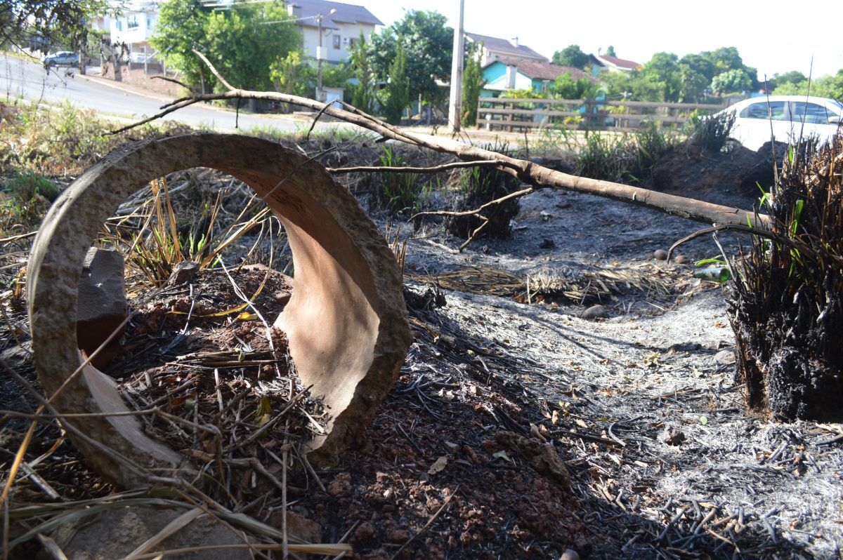 Incêndios florestais crescem 70%