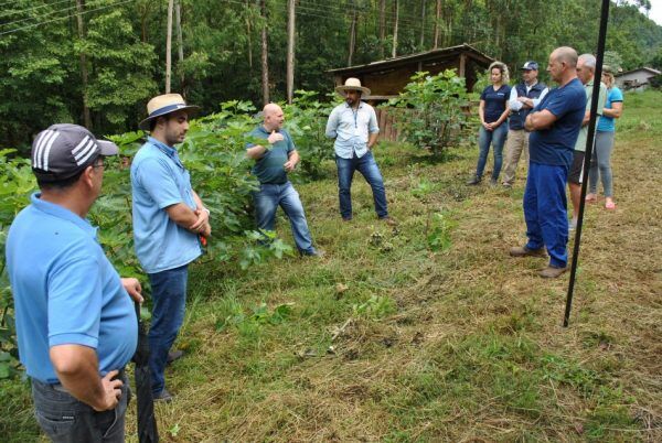 Prefeito não quer renovar convênio com a Emater