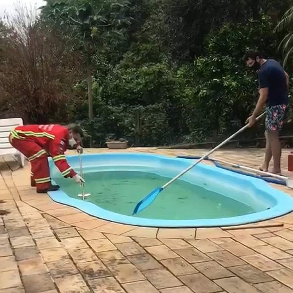 Imicol retira jararaca de piscina em Colinas