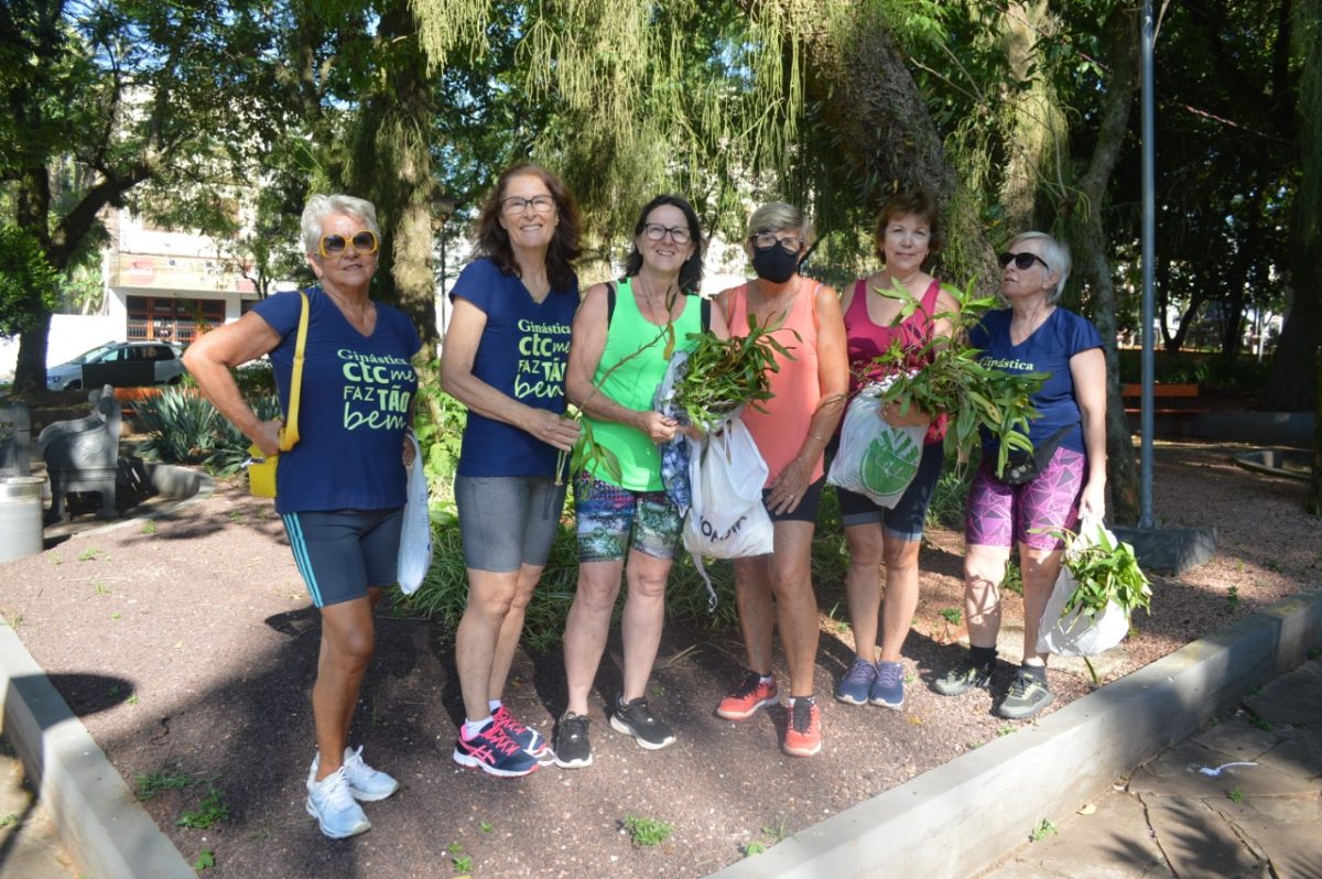 Grupo de voluntárias planta orquídeas em praças de Lajeado