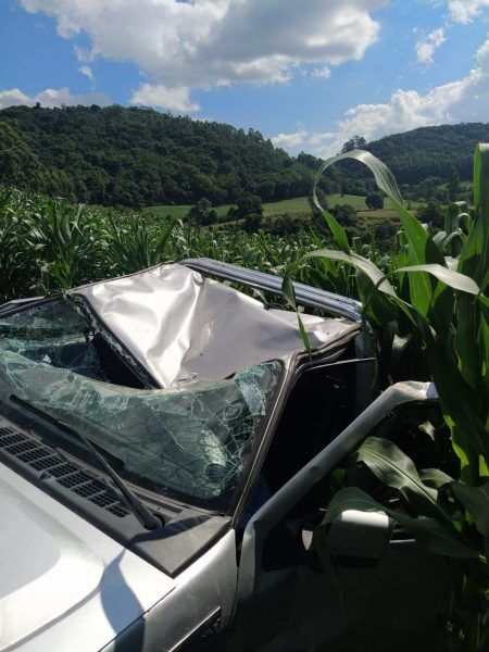 Veículo capota e para em plantação de milho em Imigrante