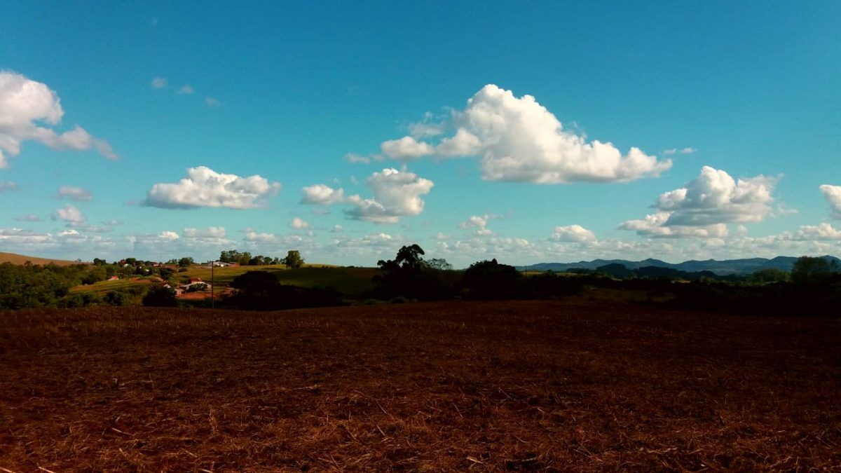 Quinta-feira será de tempo firme; confira a previsão