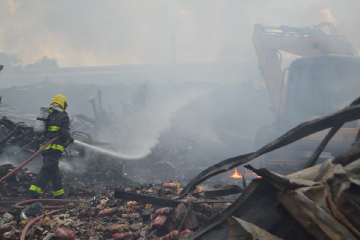 “Mais de vinte anos de trabalho foram destruídos em uma hora”