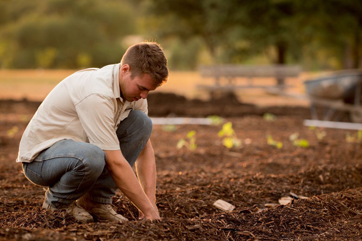 Estudo constata alto índice de qualidade de vida no trabalho em agricultores de Estrela