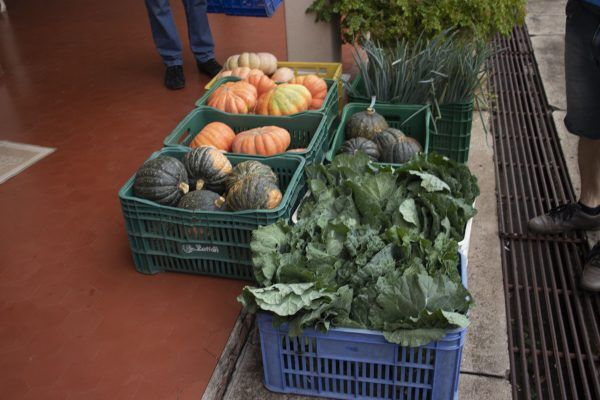 Arroio do Meio retoma Programa de Aquisição de Alimentos