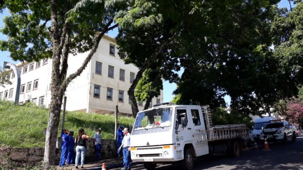 Moradores tentam evitar corte de árvores no centro de Lajeado