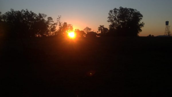 Quarta-feira de predomínio do sol e temperatura agradável