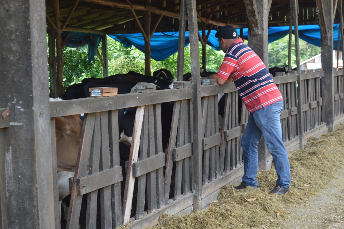 Preço pago ao produtor cai mais de 4% em fevereiro