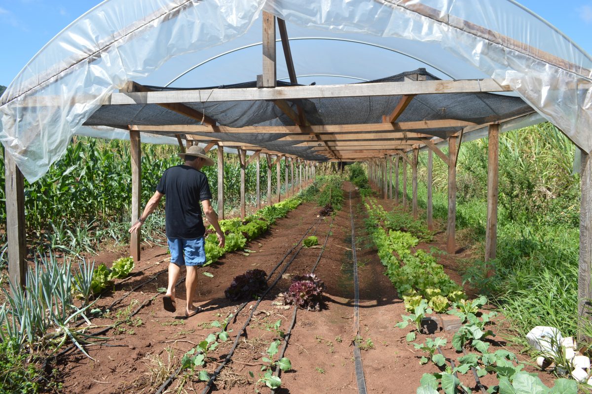 Parceria internacional fortalece produção de alimentos orgânicos em Santa Clara