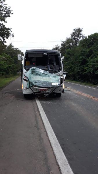 Acidente na ERS-130 deixa um ferido e trânsito lento em Lajeado