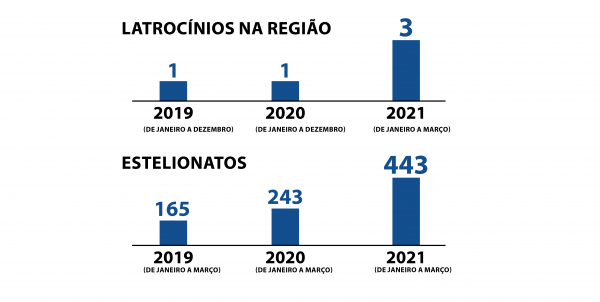 Latrocínios e golpes crescem no Vale